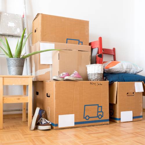 Move-In Cleaning